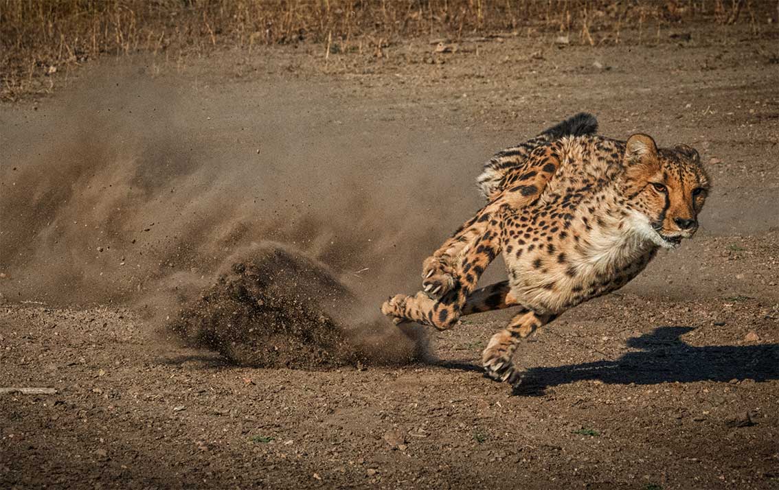 cre sans panne d'inspiration